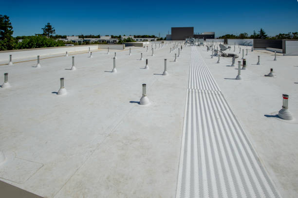 Best Commercial Roofing Services  in Hercules, CA